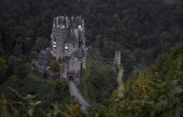 Картинка пейзаж, природа, замок, Германия, леса, Эльц