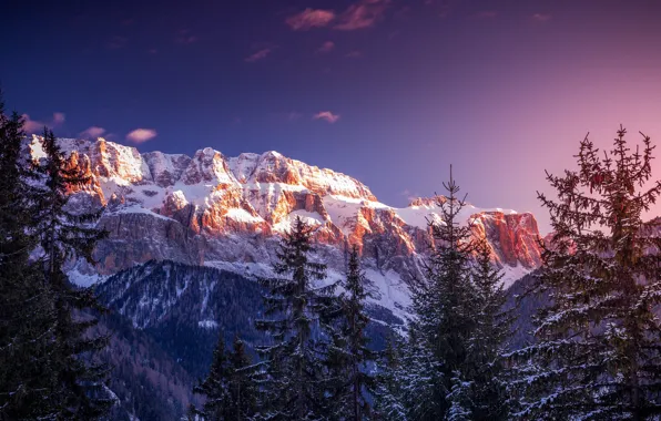 Картинка зима, лес, снег, деревья, природа, Италия, Доломитовые Альпы