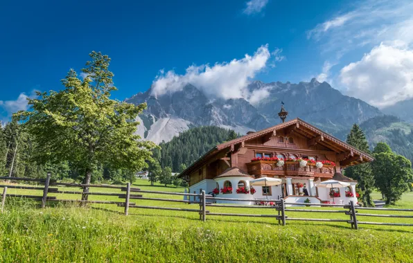 Картинка деревья, горы, дом, забор, Австрия, Альпы, лужайка, Austria