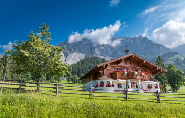 Деревья, горы, дом, забор, Австрия, Альпы, лужайка, Austria