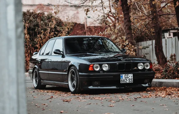BMW, E34, AC Schnitzer, 5-Series, s5
