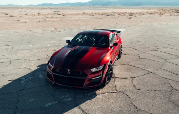 Mustang, ford, shelby, gt500