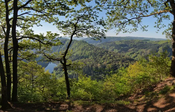 Картинка лес, деревья, горы, Германия, панорама, Germany, Саар, Сааршляйфе