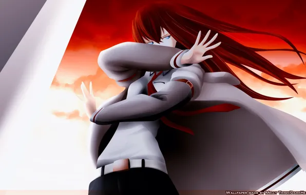 Аниме, Steins; Gate, Врата штайнера