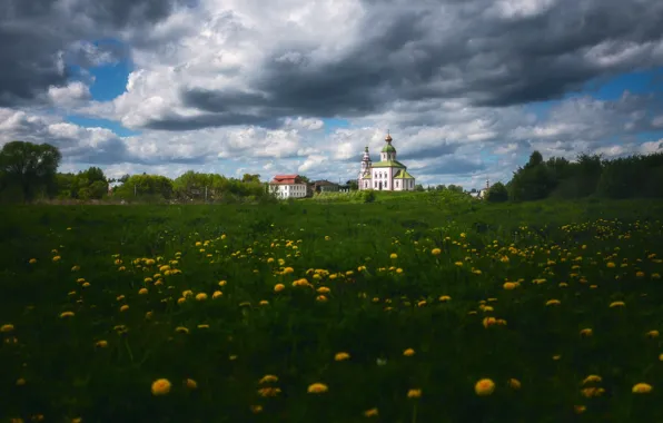 Поле, церковь, одуванчики