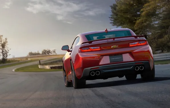 Chevrolet, Camaro, Camaro SS, 2016 Chevrolet Camaro SS, Chevrolet 2016, Camaro 2016
