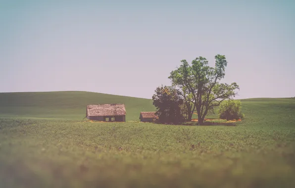 Картинка небо, деревья, дом, поля, заброшенный, солнечный, фермы сельской местности