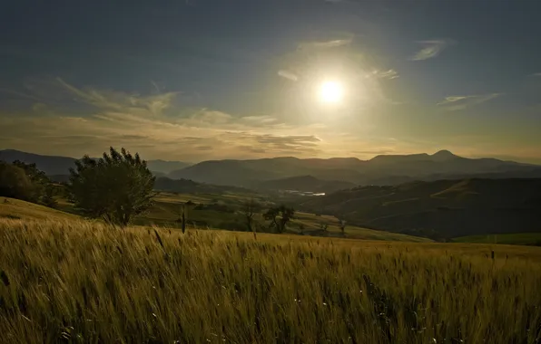 Картинка солнце, деревья, закат, холмы, поля, Италия