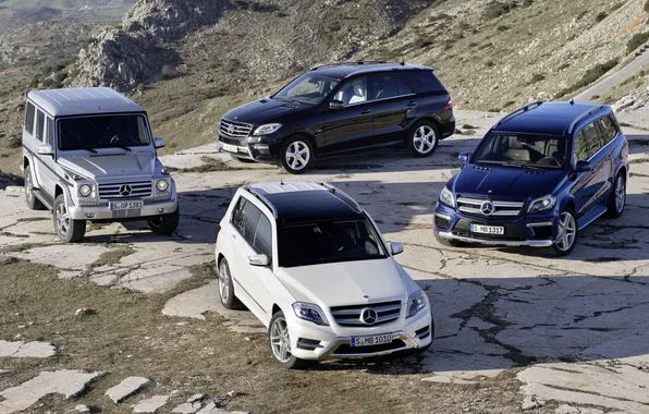 Картинка скала, фон, Mercedes-Benz, джип, внедорожник, кроссовер, GLK-klasse, G-klasse