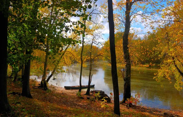 Картинка осень, лес, небо, листья, деревья, пейзаж, река, лодка