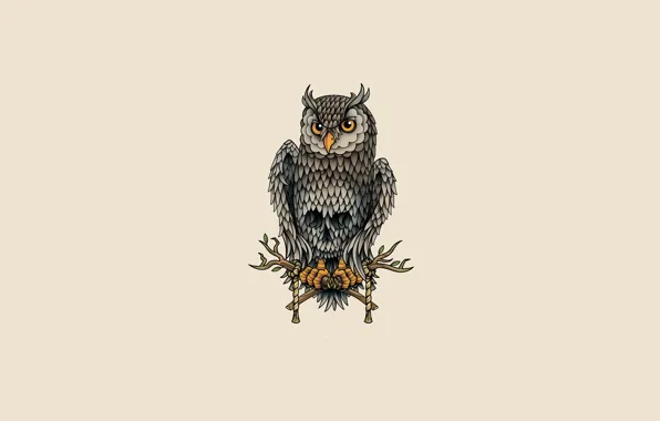 Сова, птица, светлый фон, owl
