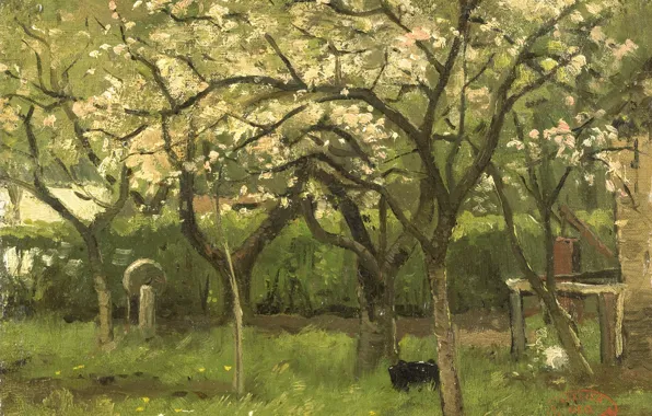 Масло, картина, 1903, Джордж Ян Хендрик Поггенбек, George Poggenbeek, Цветущее Дерево в Саду