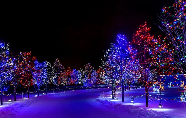 Картинка зима, снег, украшения, деревья, ночь, lights, огни, праздник