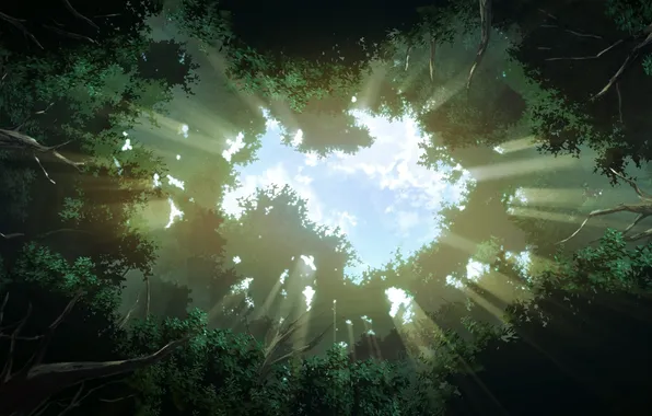 Картинка солнце, свет, деревья, природа, листва, аниме, арт, grisaia no kajitsu