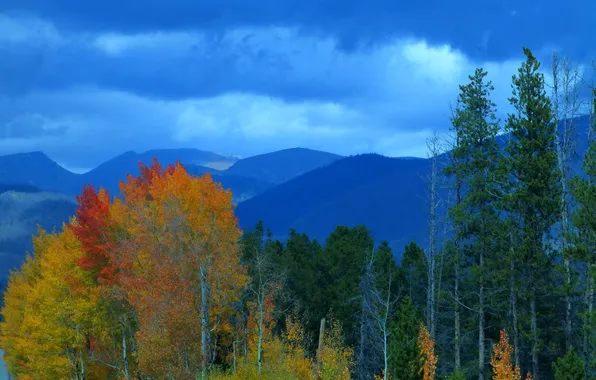 Картинка осень, небо, деревья, горы, тучи