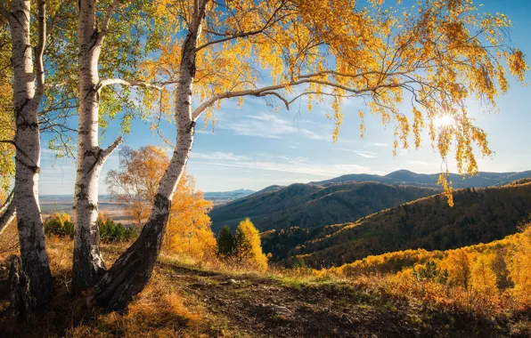 Осень, лес, солнце, облака, свет, деревья, пейзаж, горы