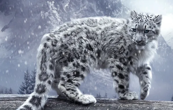 Кошка, снег, горы, леопард, ирбис, бревно, барс