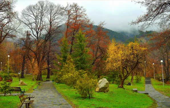 Картинка Туман, Трава, Весна, Деревья, Гора, Парк, Nature, Grass