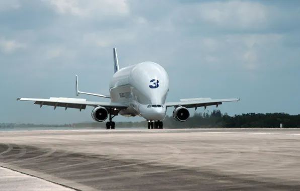 Самолёт, Грузовой, транспортировки, Для, Airbus Beluga, Super Transporter, Airbus A300-600ST, Крупногабаритных грузов