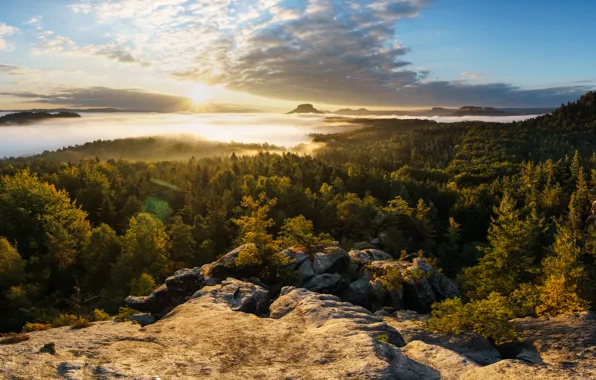 Картинка лес, горы, туман, восход, рассвет, утро, Германия, панорама