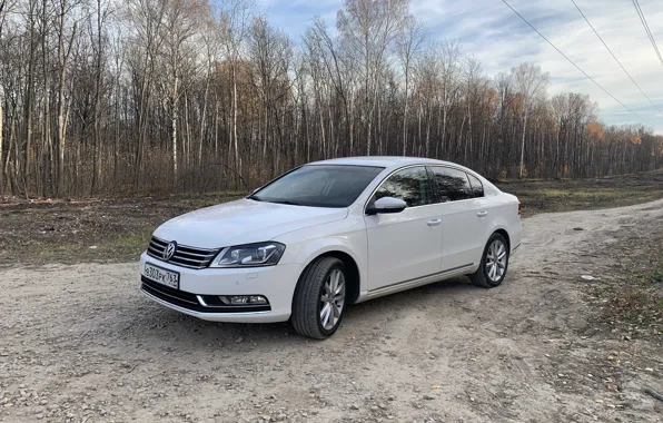 Белый, Седан, Passat B7