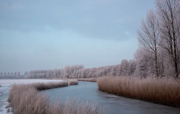 Зима, природа, река