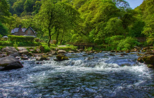 Картинка лес, деревья, дом, река, Англия, Devon, England, Девон