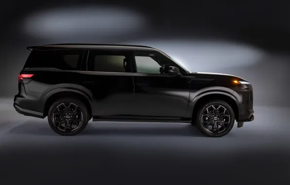 Infiniti, вид сбоку, Внедорожник, Sport, SUV, Люкс, AWD, QX80