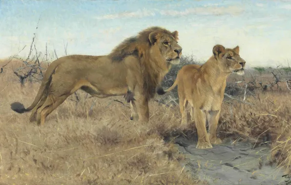 Картинка 1922, German painter, Фридрих Вильгельм Кунерт, немецкий живописец, Friedrich Wilhelm Kuhnert, Львы на равнинах Африки, …
