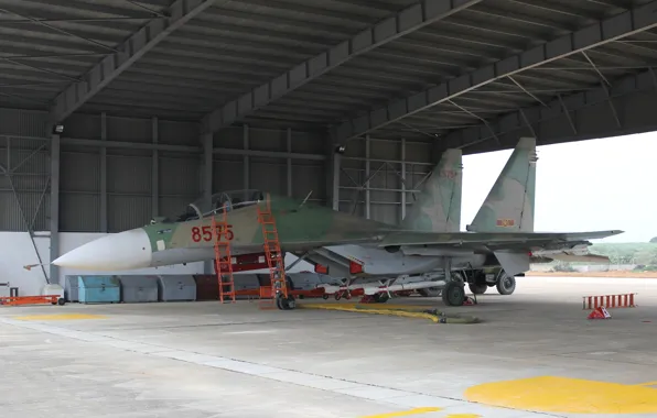 Истребитель, ангар, аэродром, Vietnam, многоцелевой, Su-30