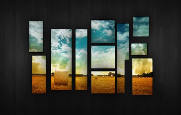 Картинка пшеница, поле, небо, дерево, сбор, урожая