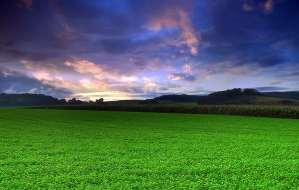 Картинка поле, небо, трава, природа, фото, пейзажи, зелёный
