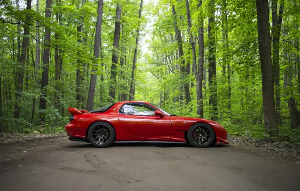 Дорога, лес, красный, спорткар, Mazda RX-7