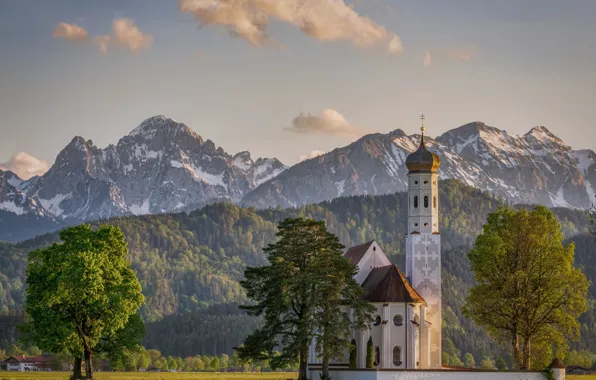 Деревья, горы, Германия, Бавария, Альпы, церковь, Germany, Bavaria