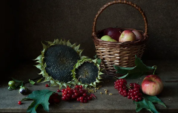 Листья, подсолнухи, ягоды, яблоки, доски, натюрморт, корзинка, семечки