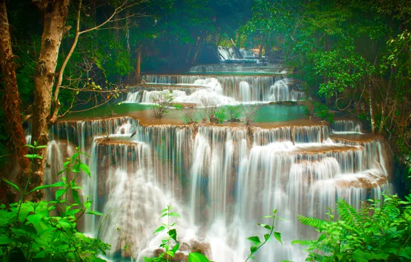 Картинка лес, деревья, тропики, ручей, водопад, Таиланд, каскад, Kanchanaburi