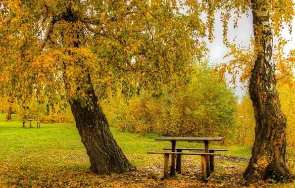 Картинка осень, листья, деревья, парк, желтые, скамейки, кусты, столик