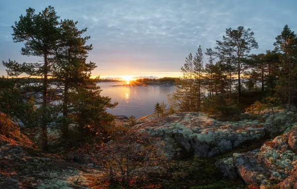 Картинка осень, солнце, лучи, деревья, пейзаж, закат, природа, озеро