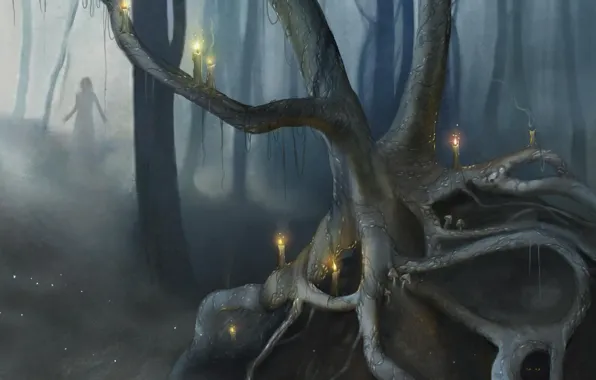 Картинка лес, глаза, грибы, свечи