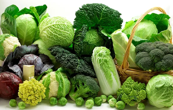 Картинка зелень, корзинка, овощи, разные, капуста, сорта