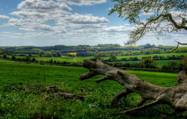 Картинка wallpaper, nature, twon