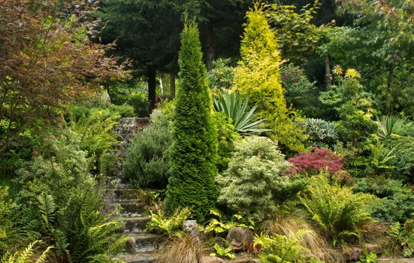 Картинка зелень, деревья, парк, сад, лестница, Великобритания, ступеньки, кусты