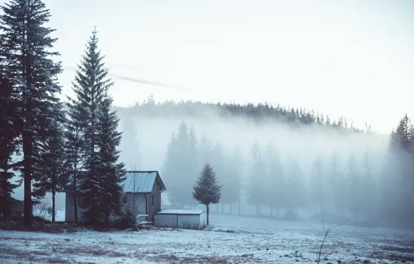 Картинка зима, лес, снег, деревья, туман, дом, опушка
