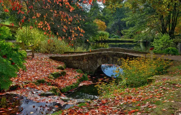 Листья, деревья, скамейка, мост, пруд, парк, Англия, Ardingly