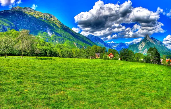 Картинка поле, небо, трава, солнце, облака, деревья, горы, HDR