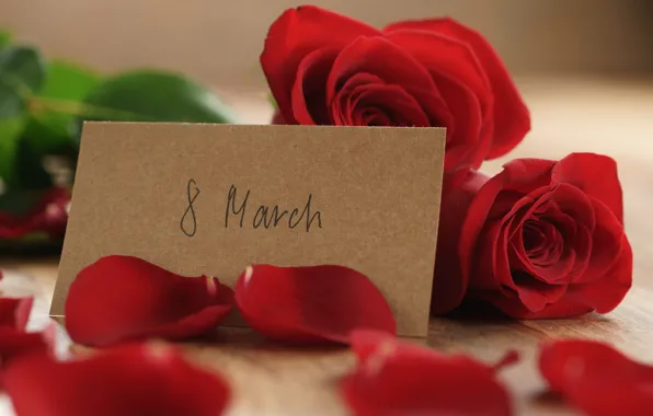 Букет, лепестки, red, 8 марта, romantic, gift, roses, красные розы