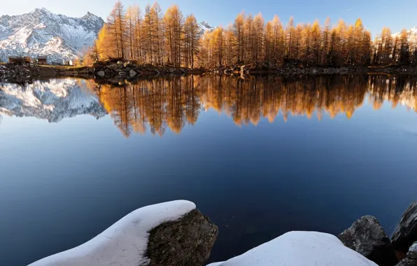 Картинка зима, лес, снег, деревья, горы, озеро