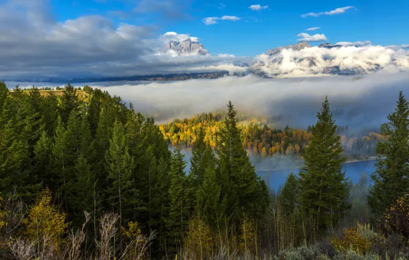 Картинка осень, лес, облака, деревья, горы, туман, река, США