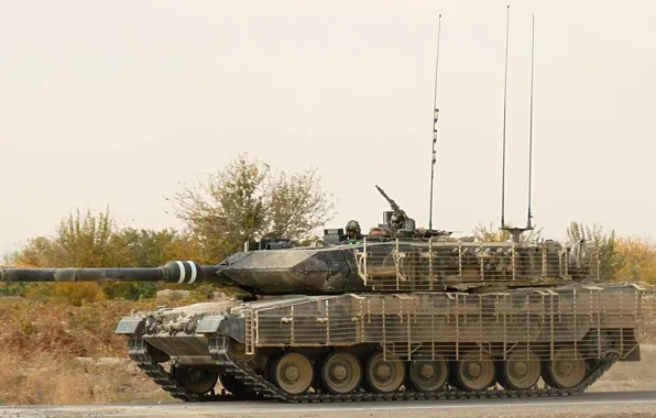 Картинка трава, защита, танк, leopard 2a6