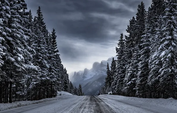 Зима, дорога, лес, деревья, горы, Timothy Poulton